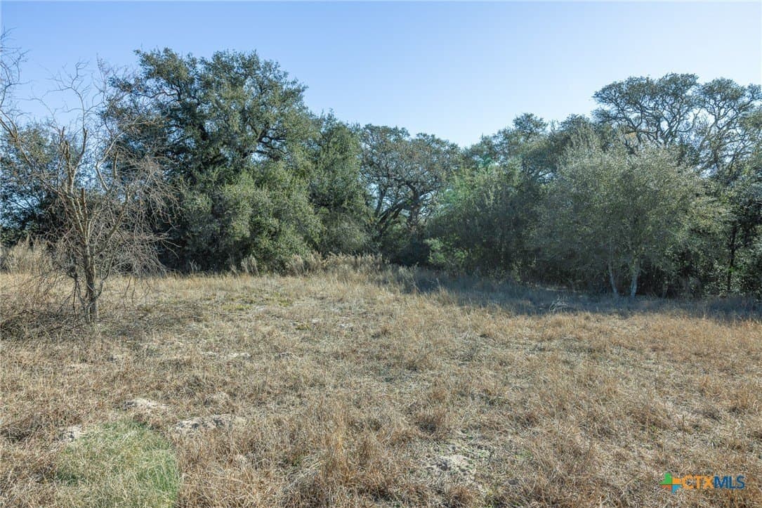 17.5 acres in Victoria County gallery image 3