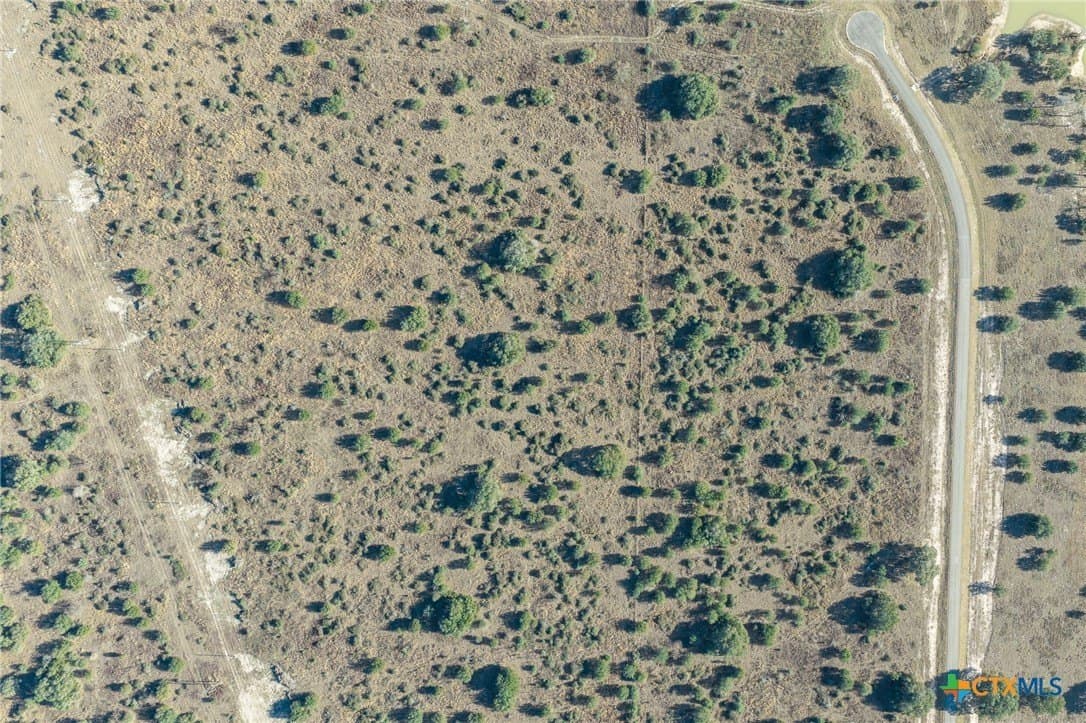17.5 acres in Victoria County gallery image 4