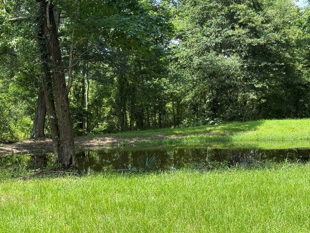 4.92 acres in Texas County - photo 7