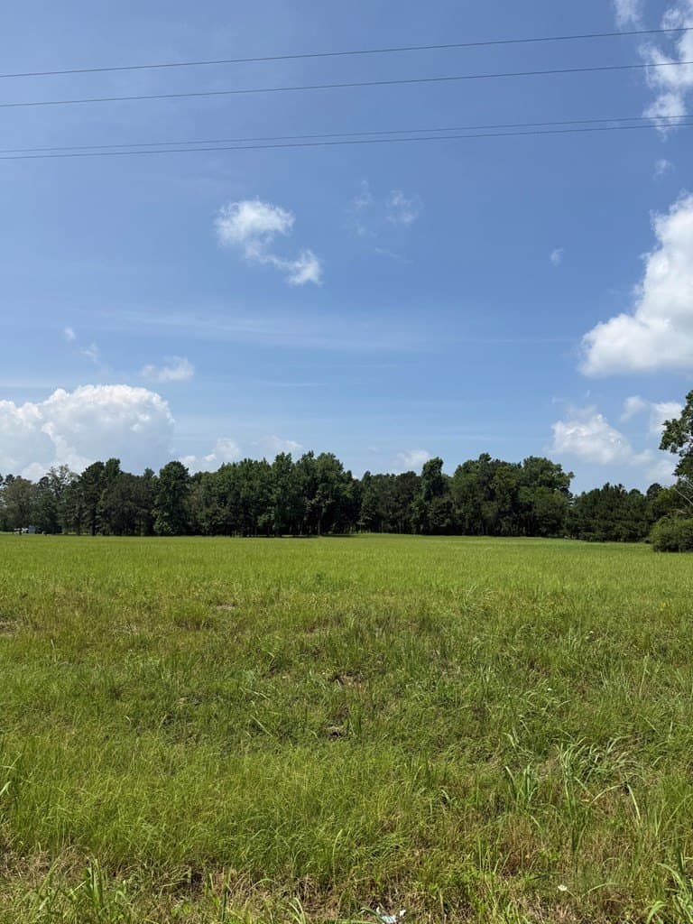 8.2 acres in Texas County gallery image 2