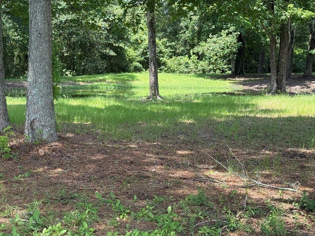 4.92 acres in Texas County - photo 6