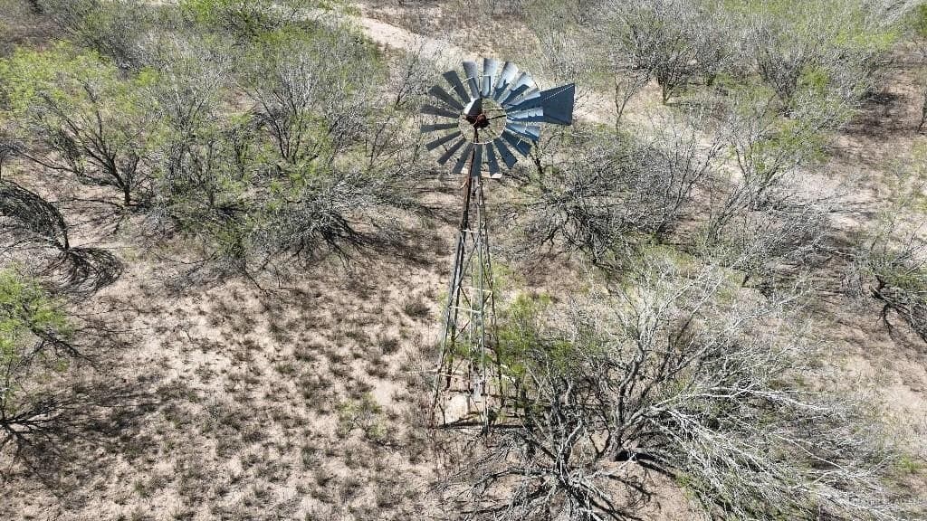 20 acres in Hidalgo County gallery image 4