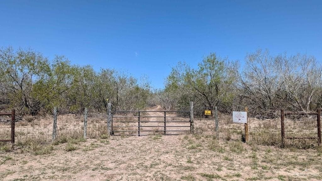 20 acres in Hidalgo County gallery image 2