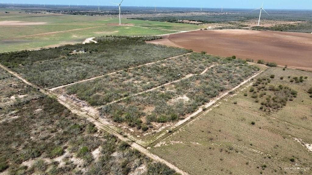 20 acres in Hidalgo County