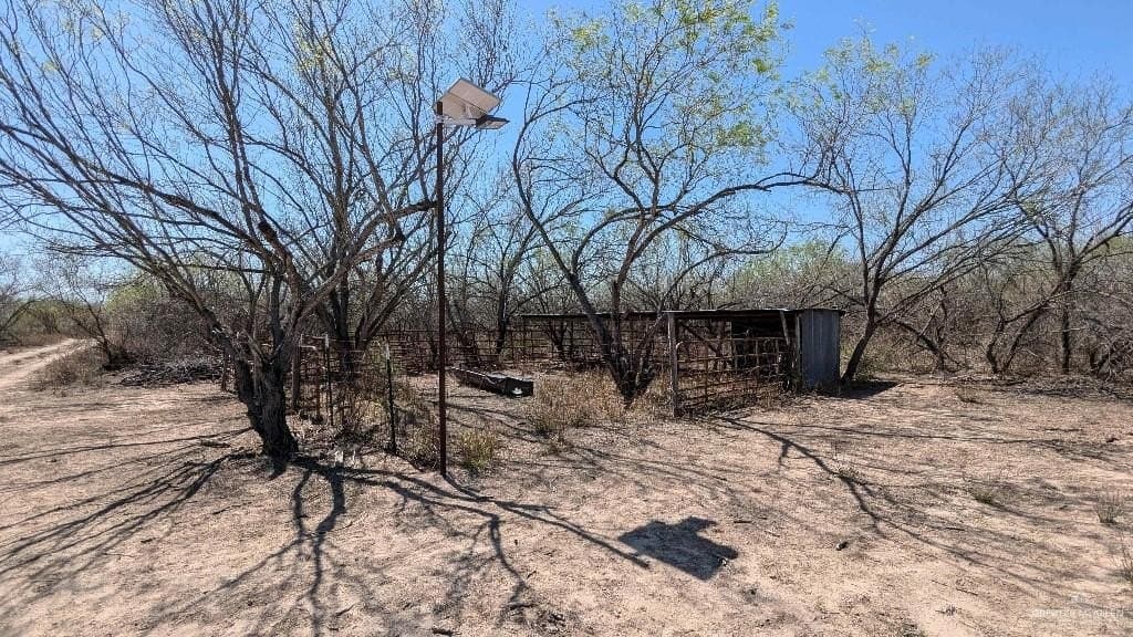 20 acres in Hidalgo County gallery image 3