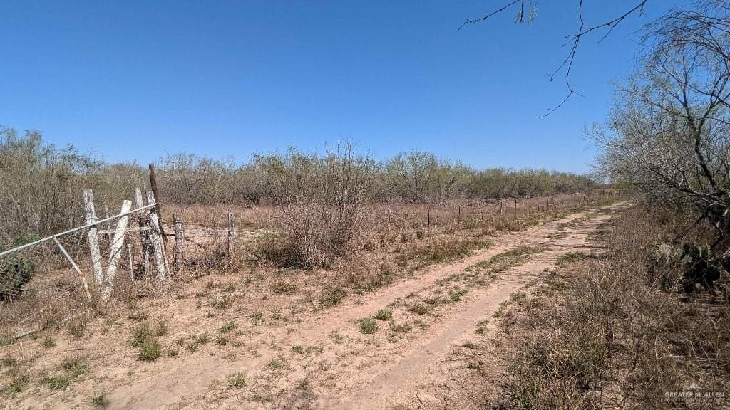 20 acres in Hidalgo County featured view