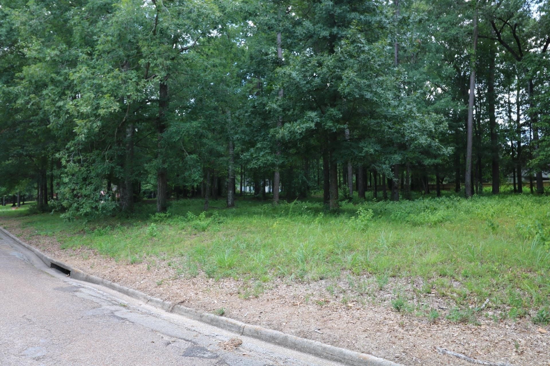 0.56 acres in Texas County - photo 7