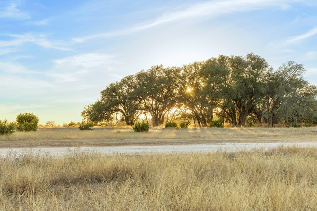 10.01 acres in Gillespie County gallery image 3