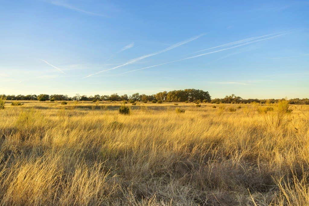 10.01 acres in Gillespie County featured view
