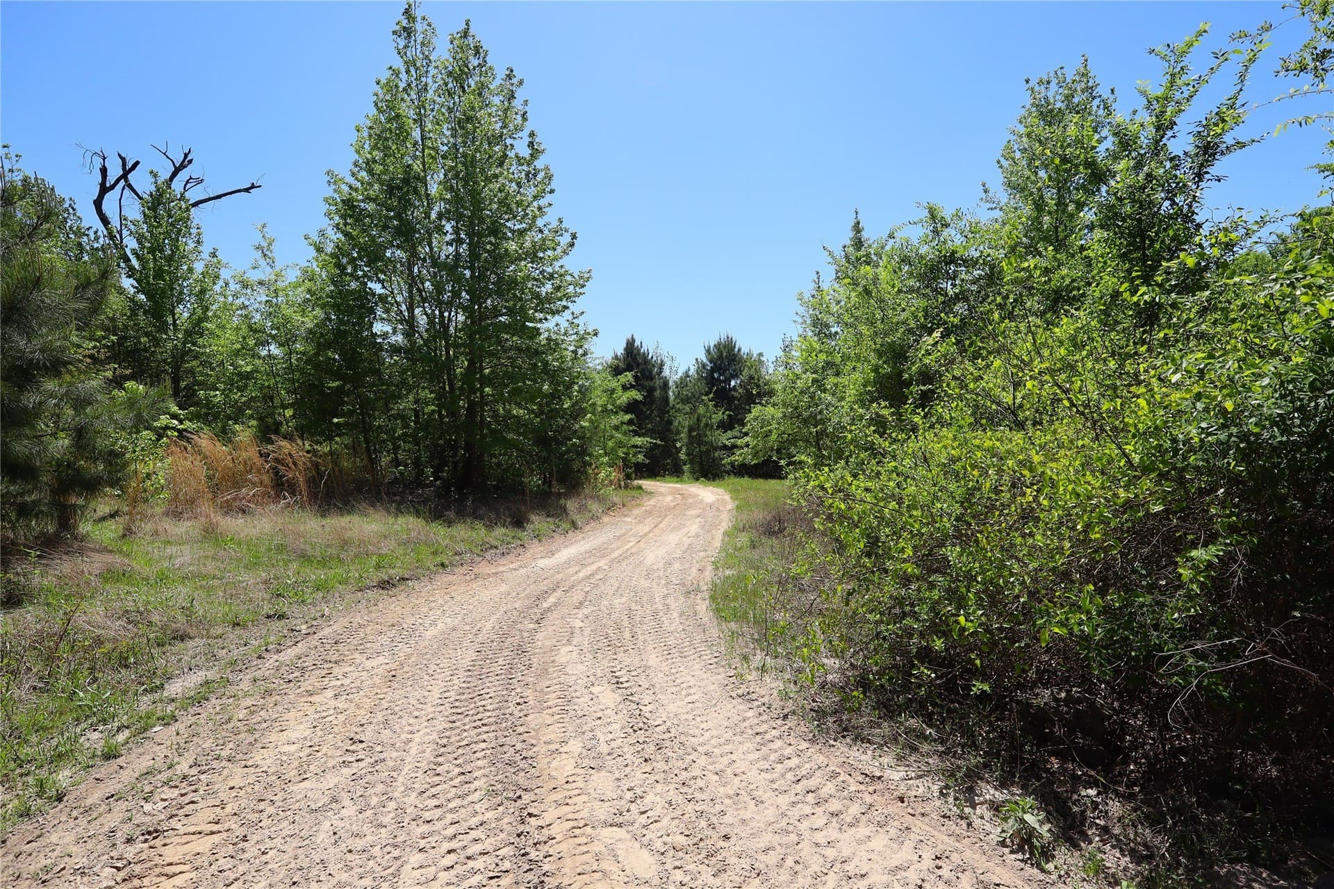81 acres in Henderson County - photo 26