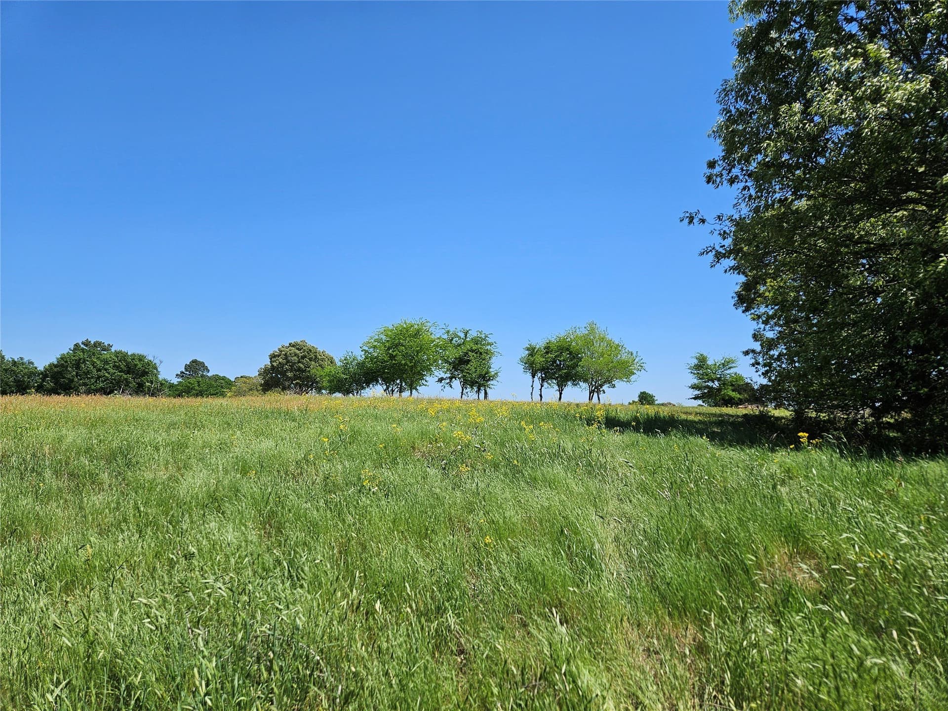 81 acres in Henderson County - photo 13