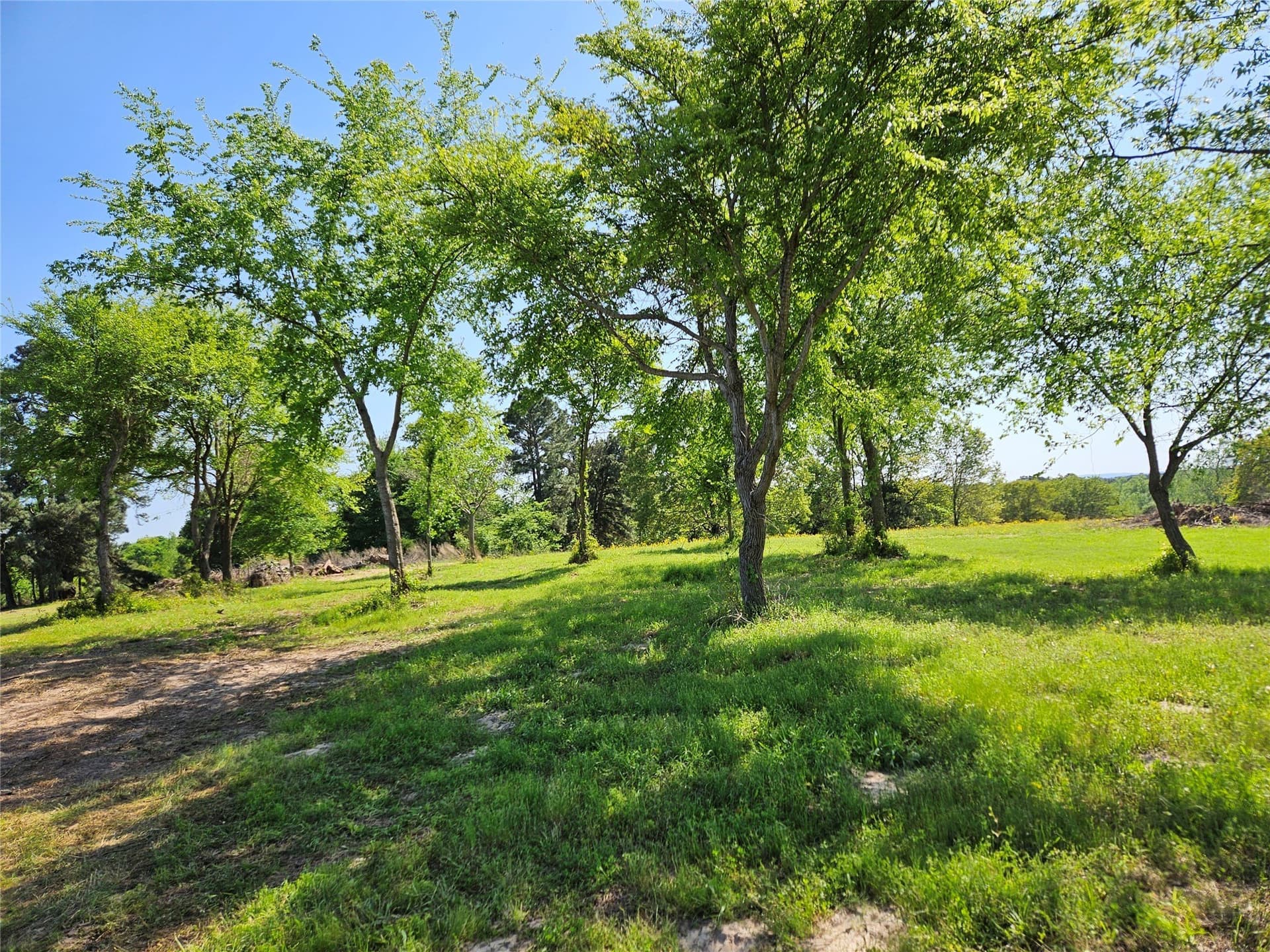 81 acres in Henderson County - photo 6