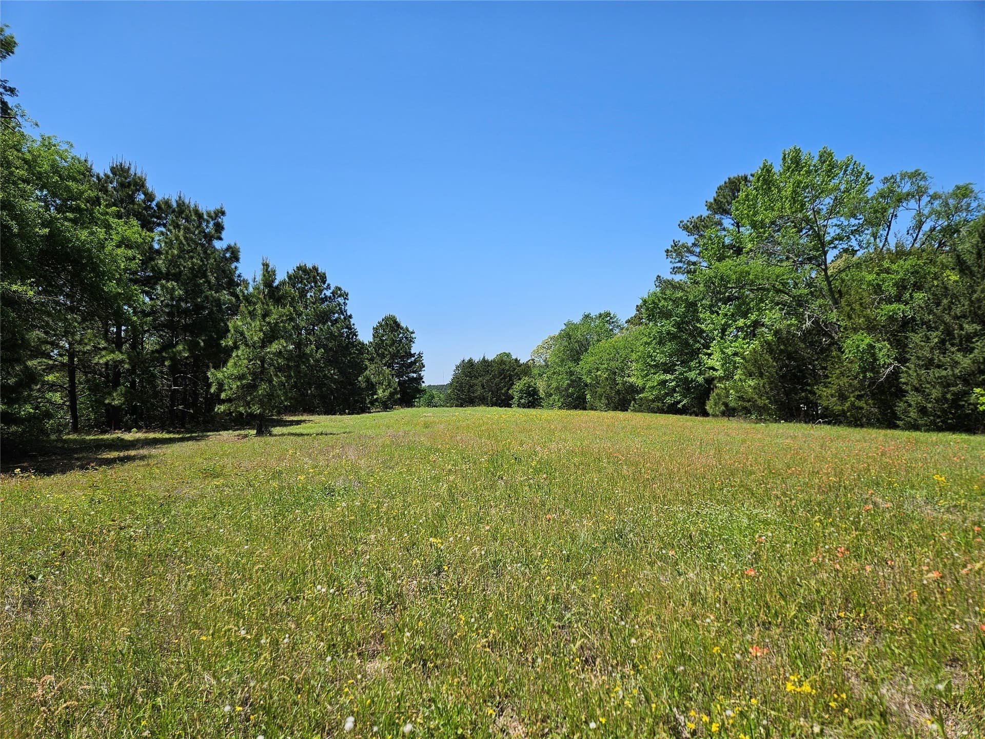 81 acres in Henderson County - photo 14