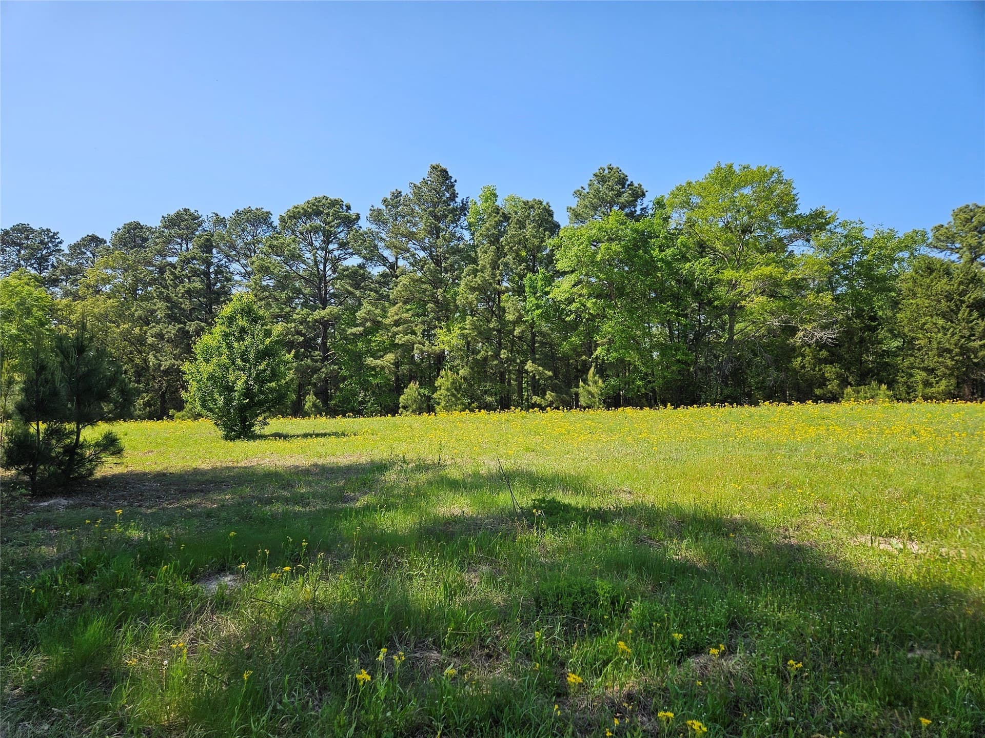 81 acres in Henderson County - photo 9
