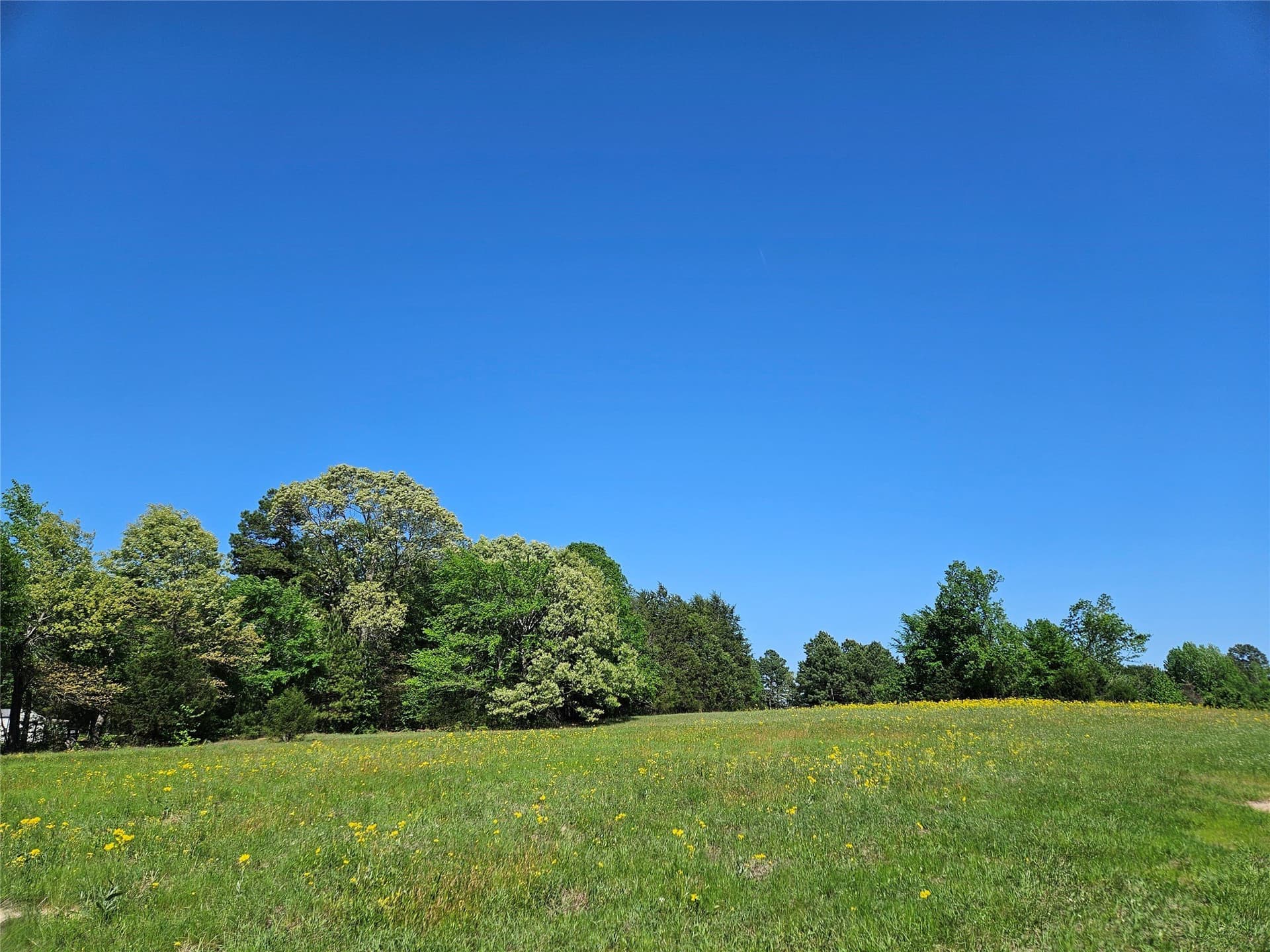 81 acres in Henderson County - photo 10