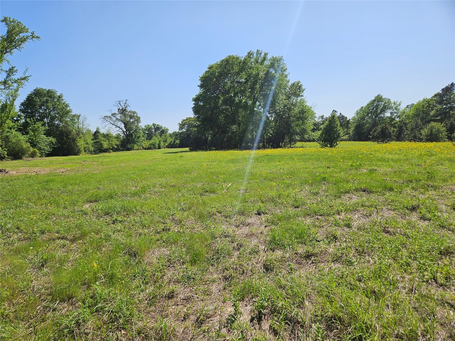 81 acres in Henderson County - photo 8