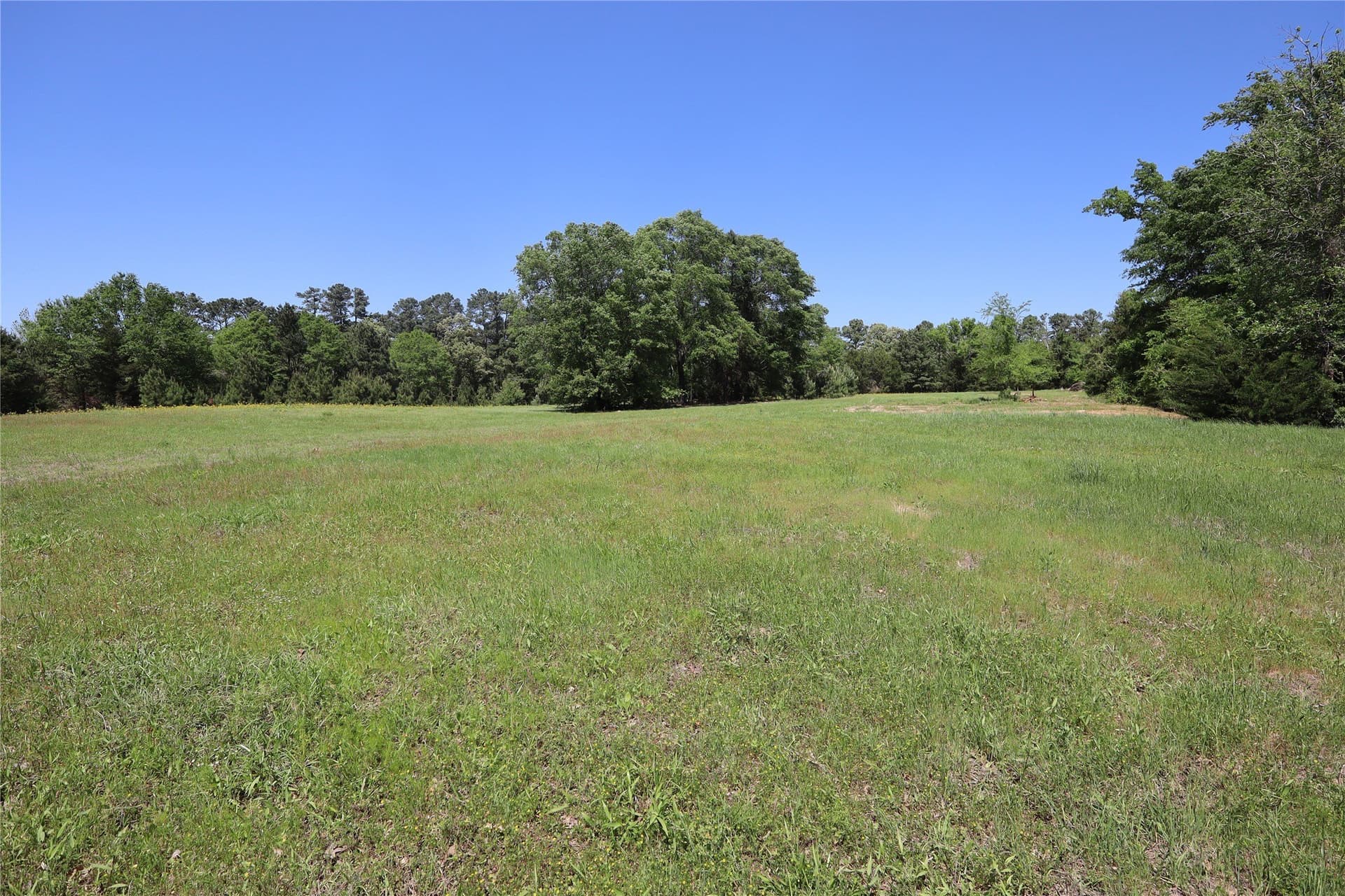 81 acres in Henderson County - photo 25