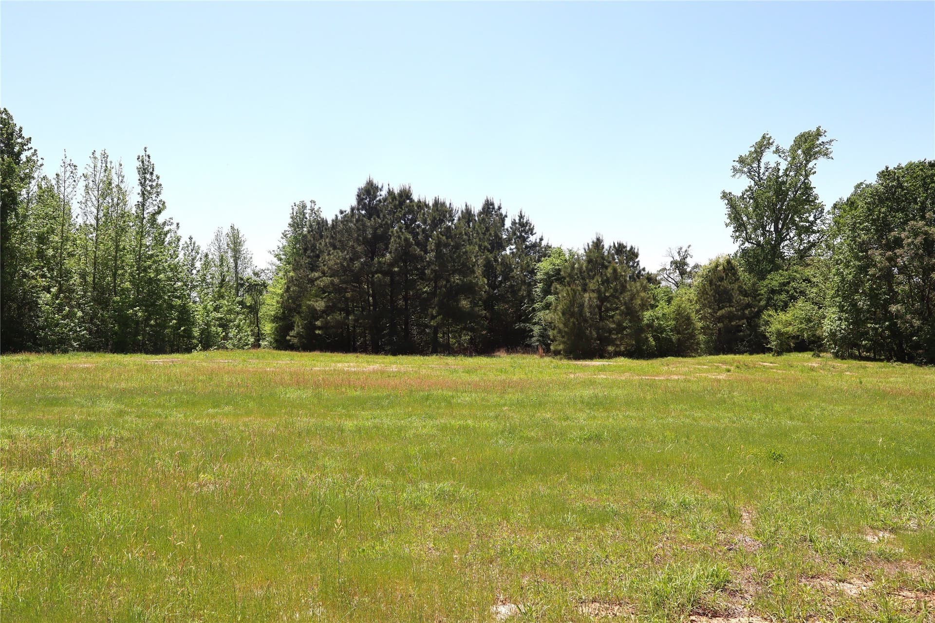 81 acres in Henderson County - photo 24