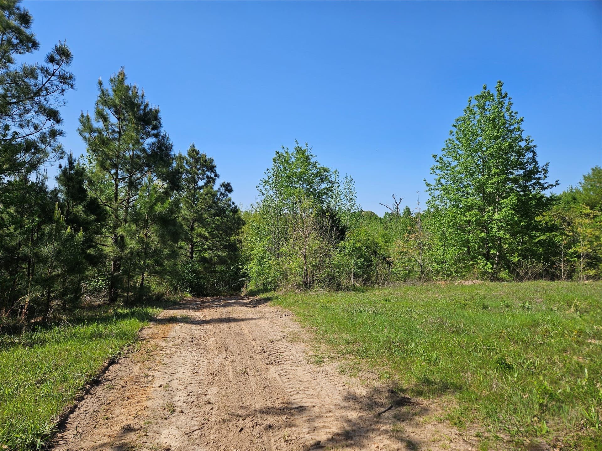 81 acres in Henderson County - photo 7