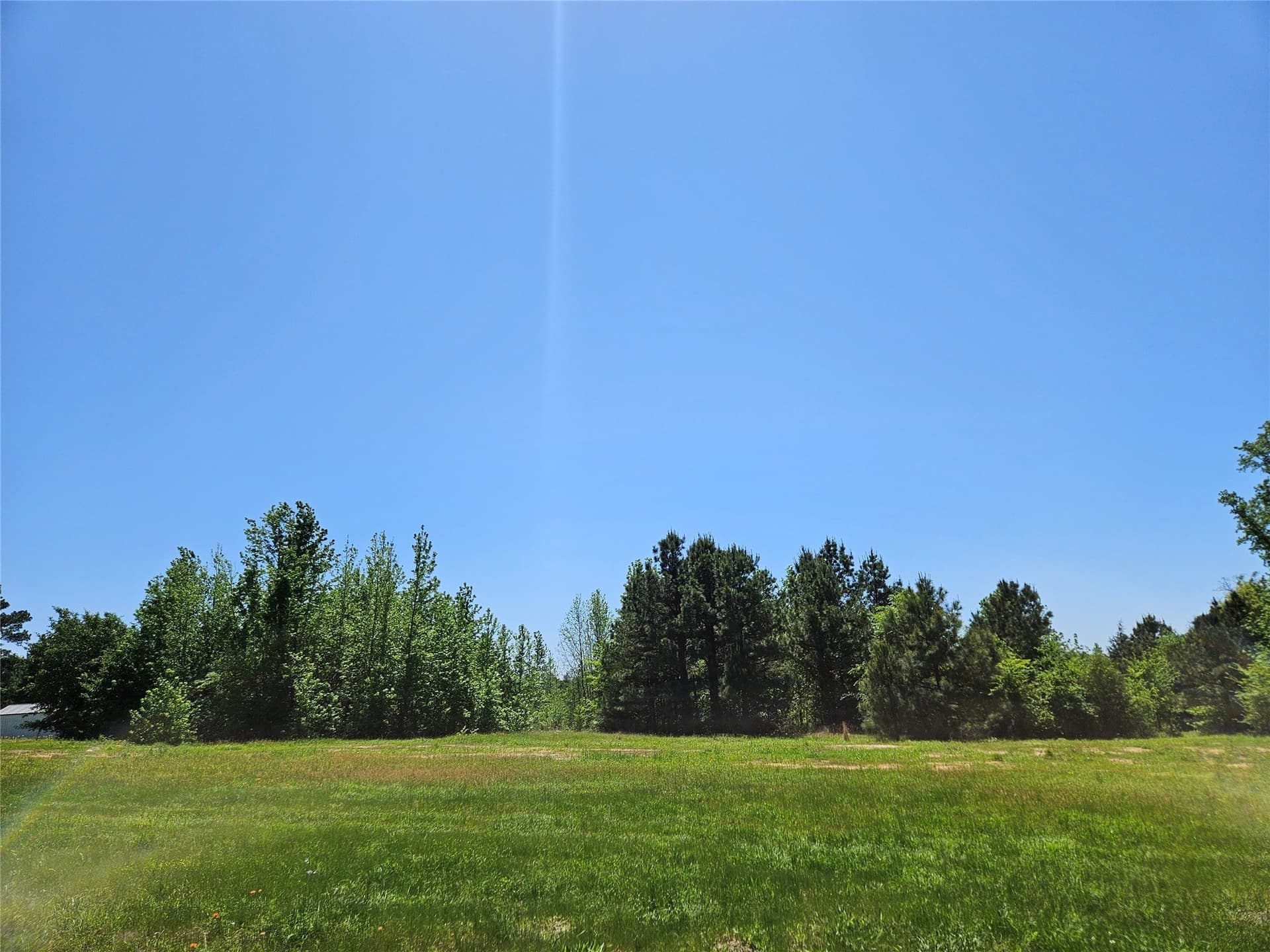 81 acres in Henderson County - photo 15