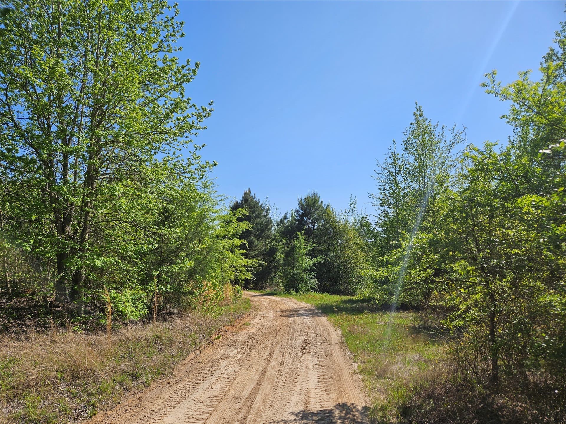 81 acres in Henderson County - photo 11
