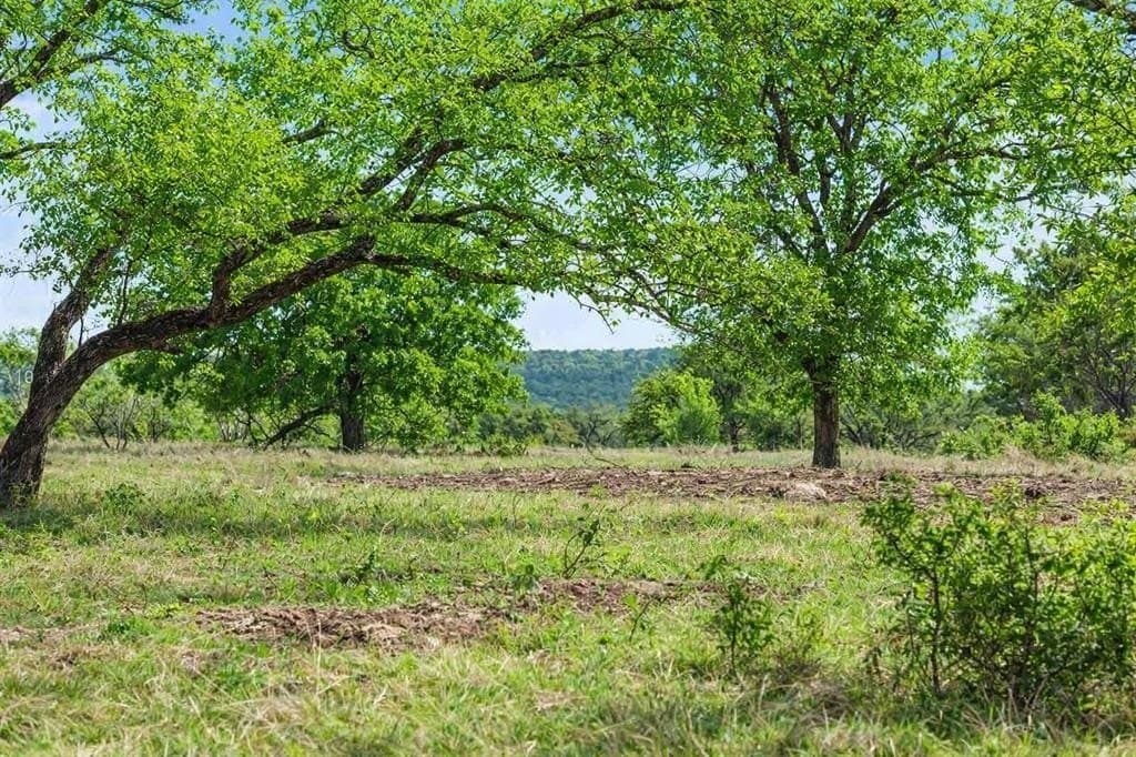 10.03 acres in Burnet County gallery image 2