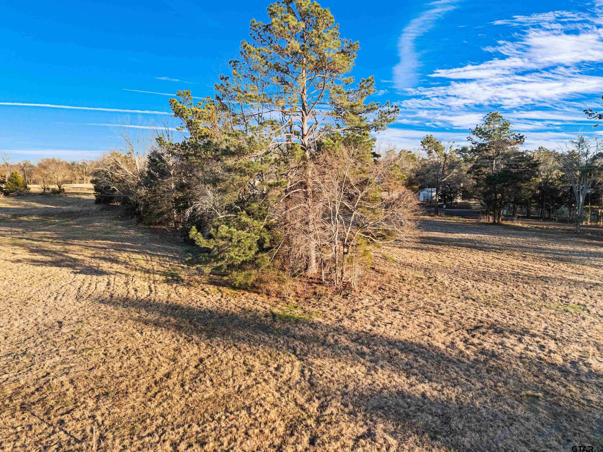 4 acres in Smith County - photo 7