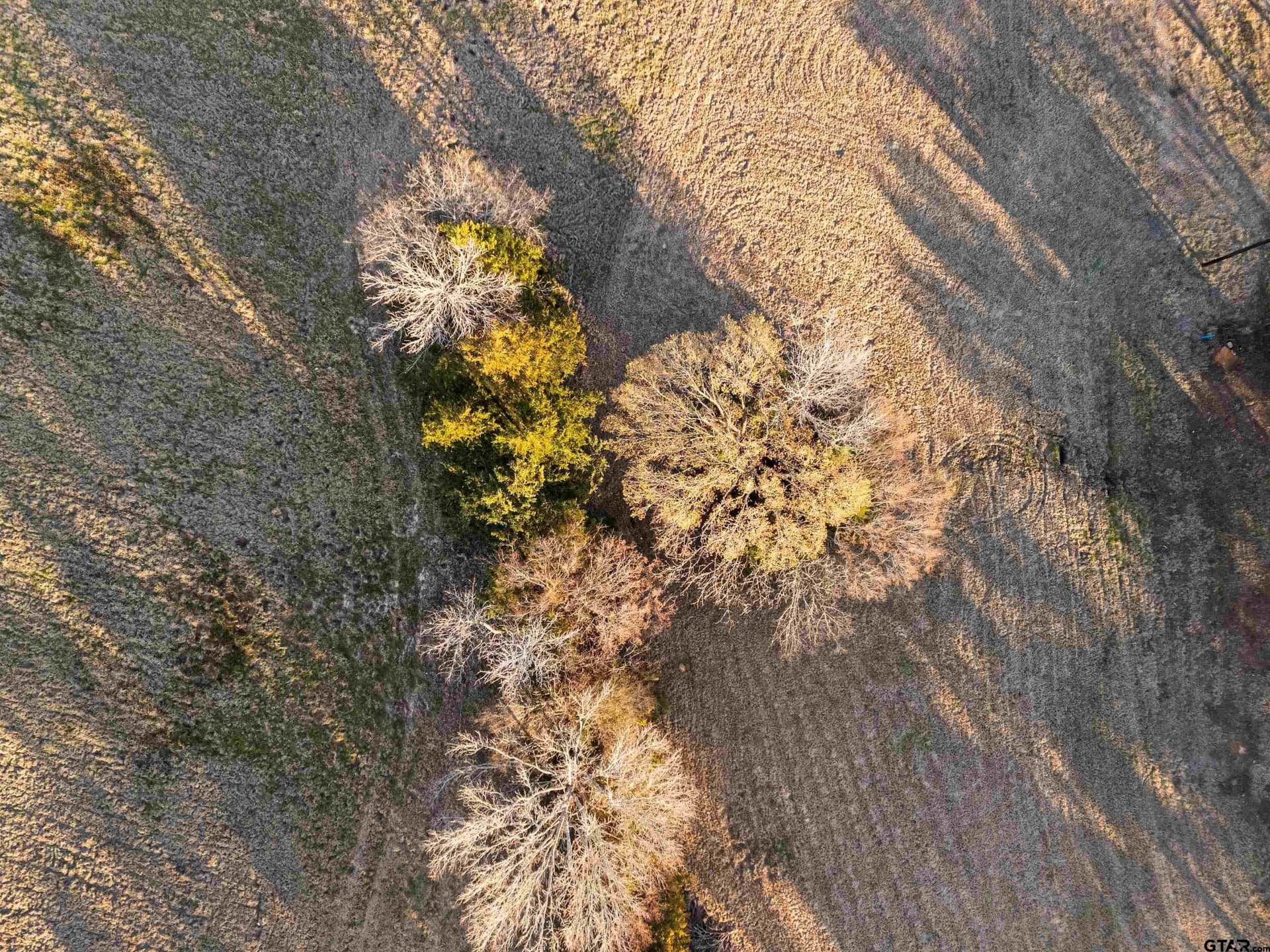 4 acres in Smith County gallery image 4