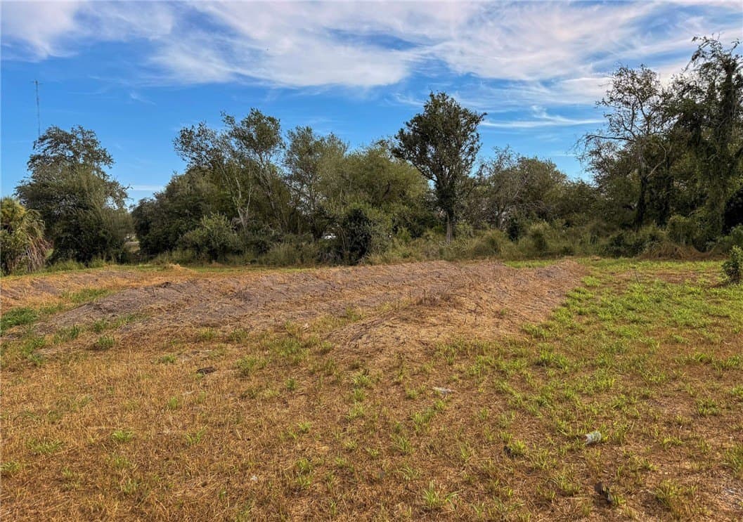 0.34 acres in Live Oak County - photo 3