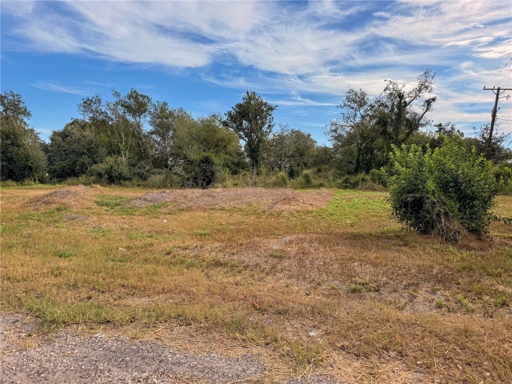 0.34 acres in Live Oak County - photo 4