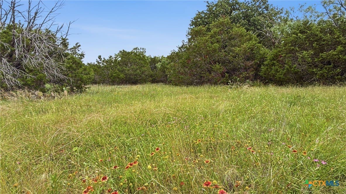 20.02 acres in Hamilton County gallery image 4