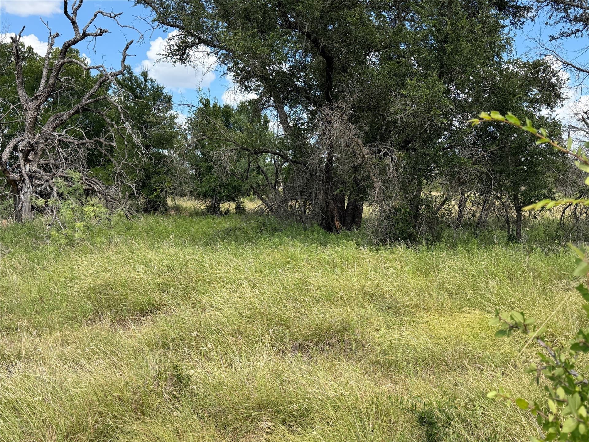 0.35 acres in Brown County - photo 6