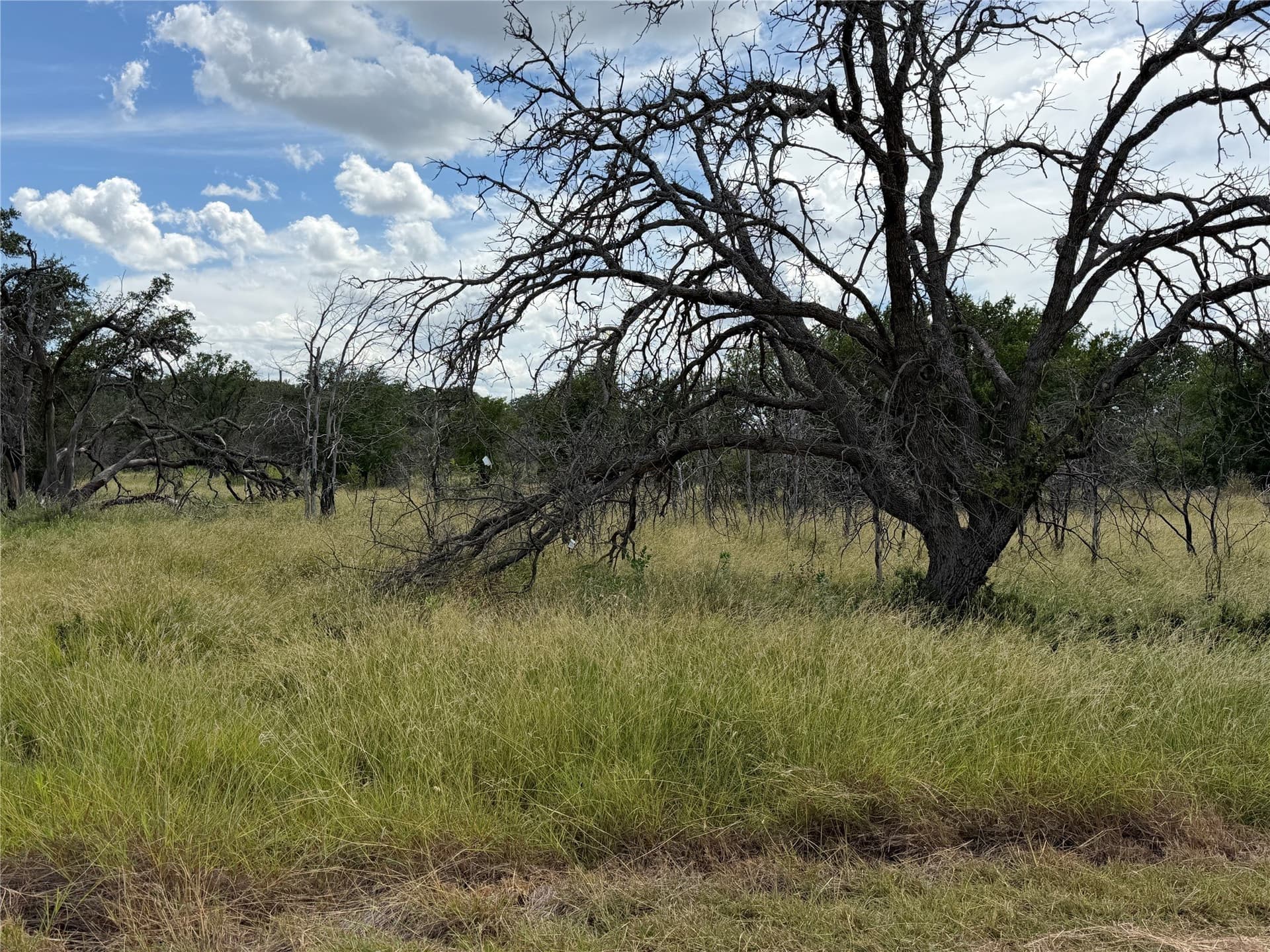 0.35 acres in Brown County - photo 3