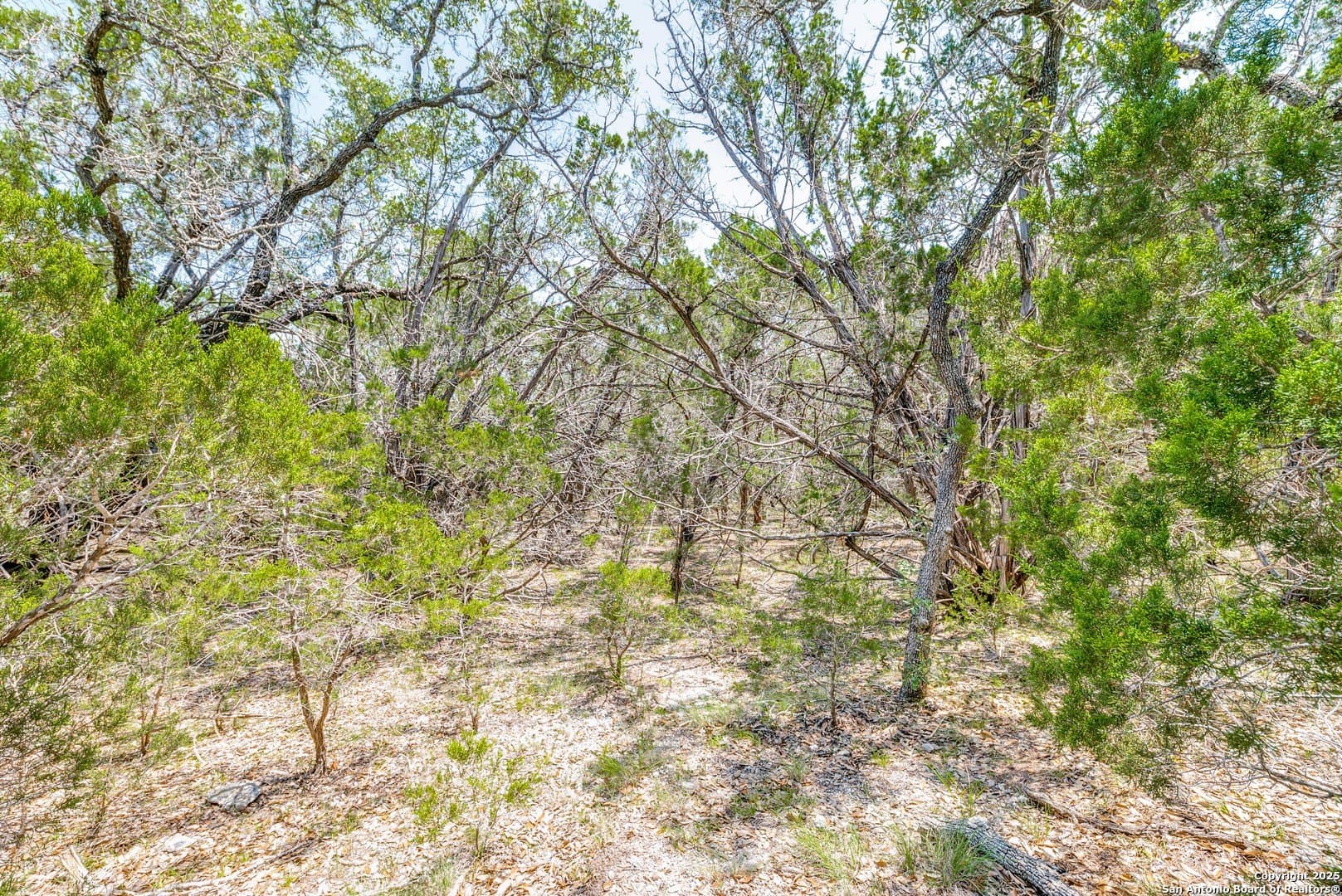 1 acres in Comal County - photo 11