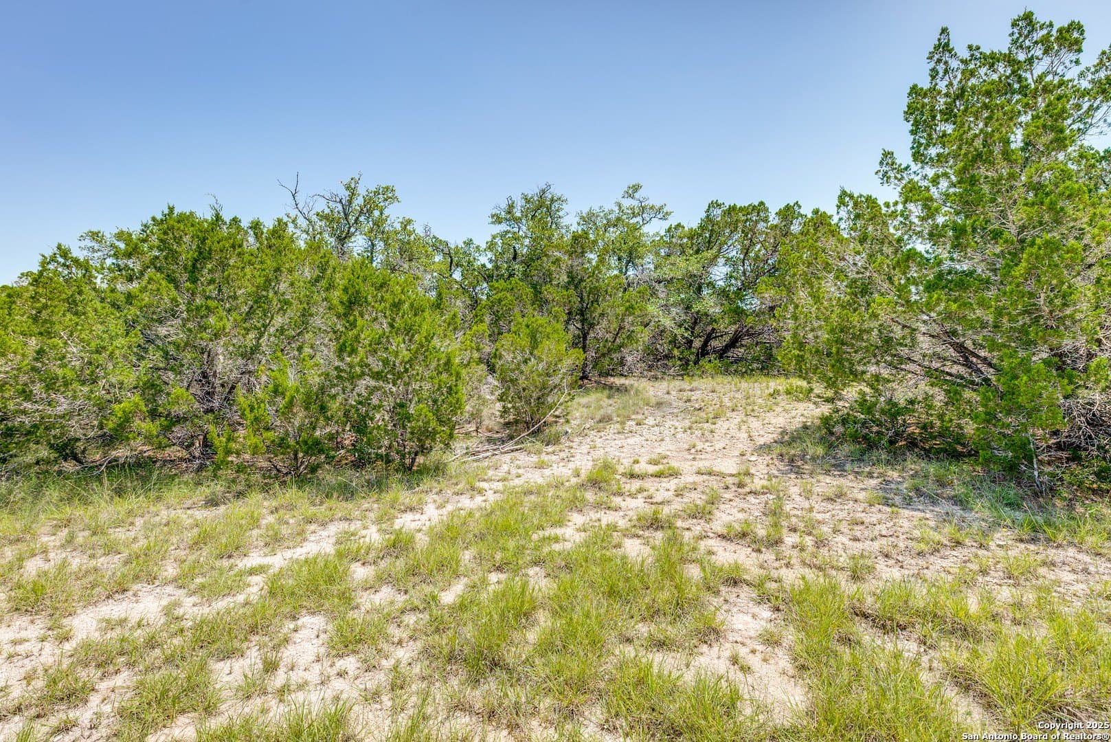 1 acres in Comal County - photo 5