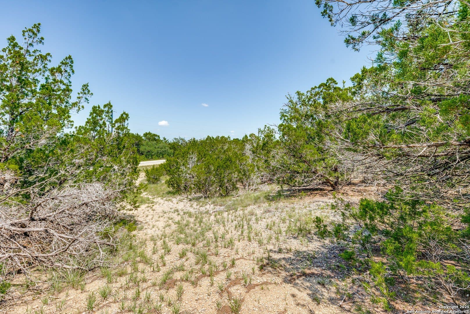 1 acres in Comal County - photo 10