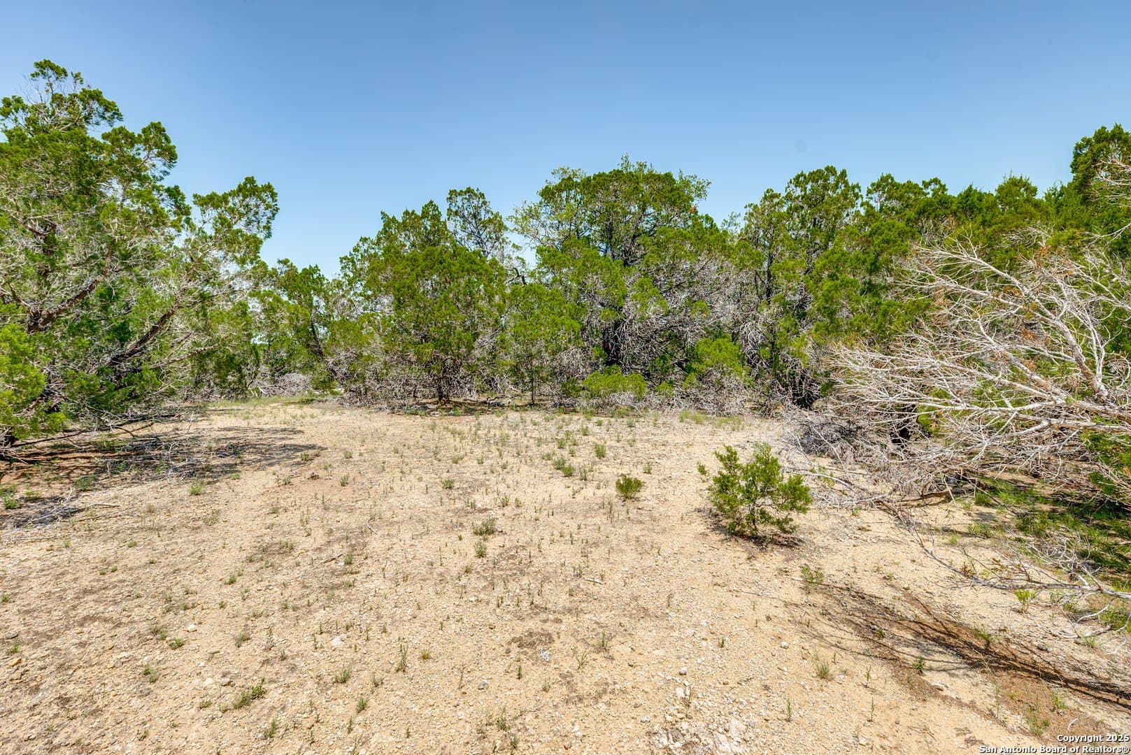 1 acres in Comal County - photo 9