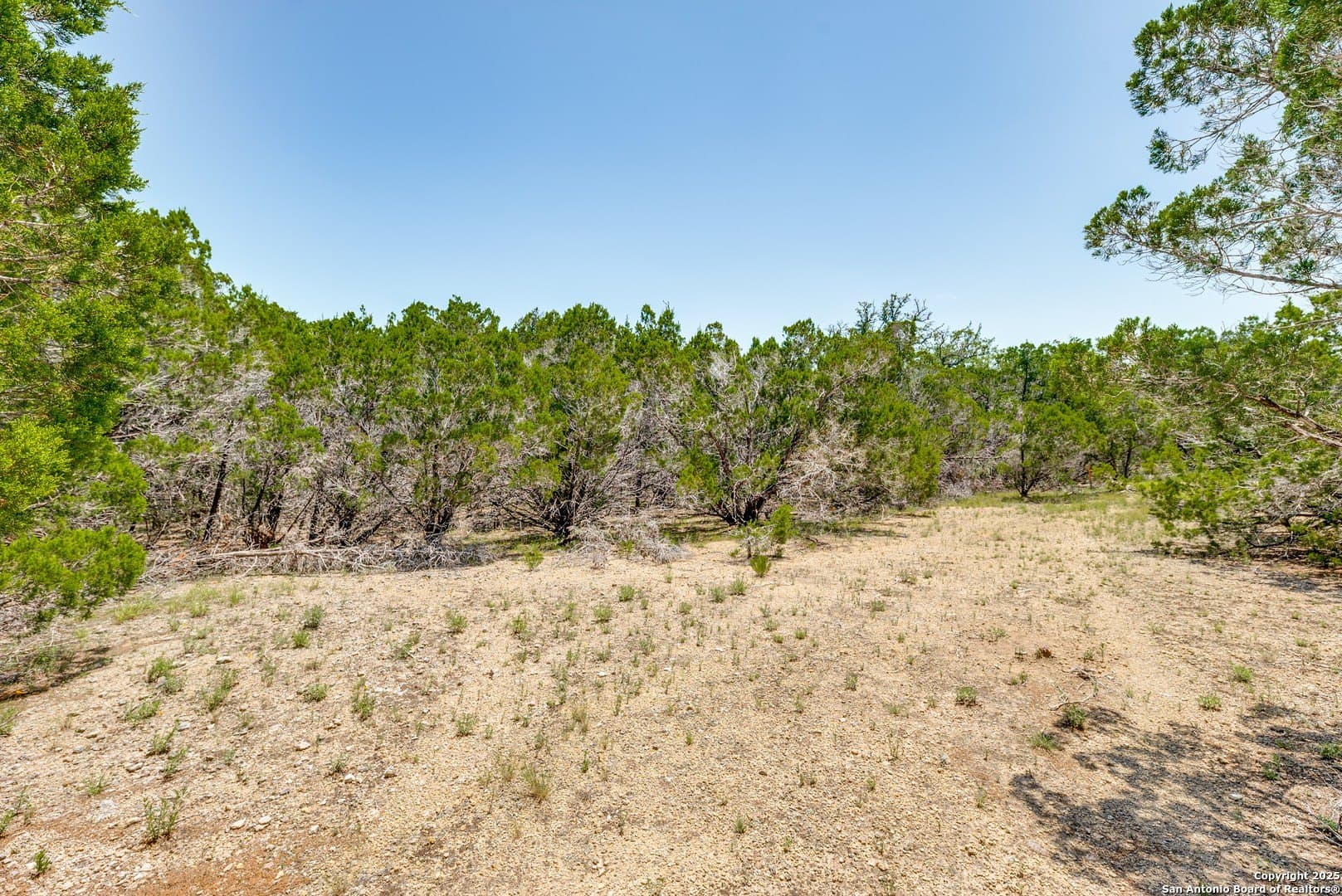 1 acres in Comal County - photo 8
