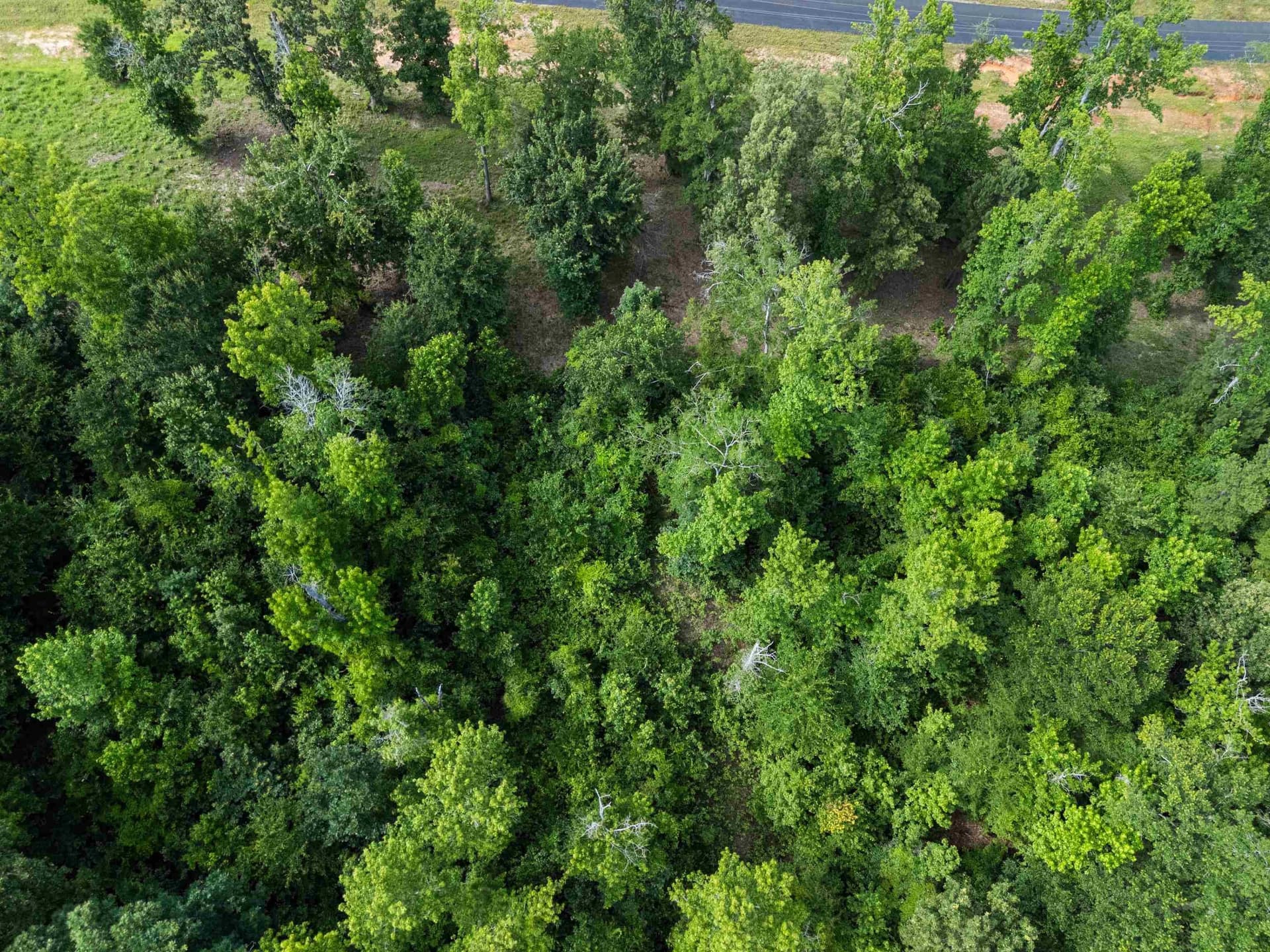 1.03 acres in Harrison County - photo 8