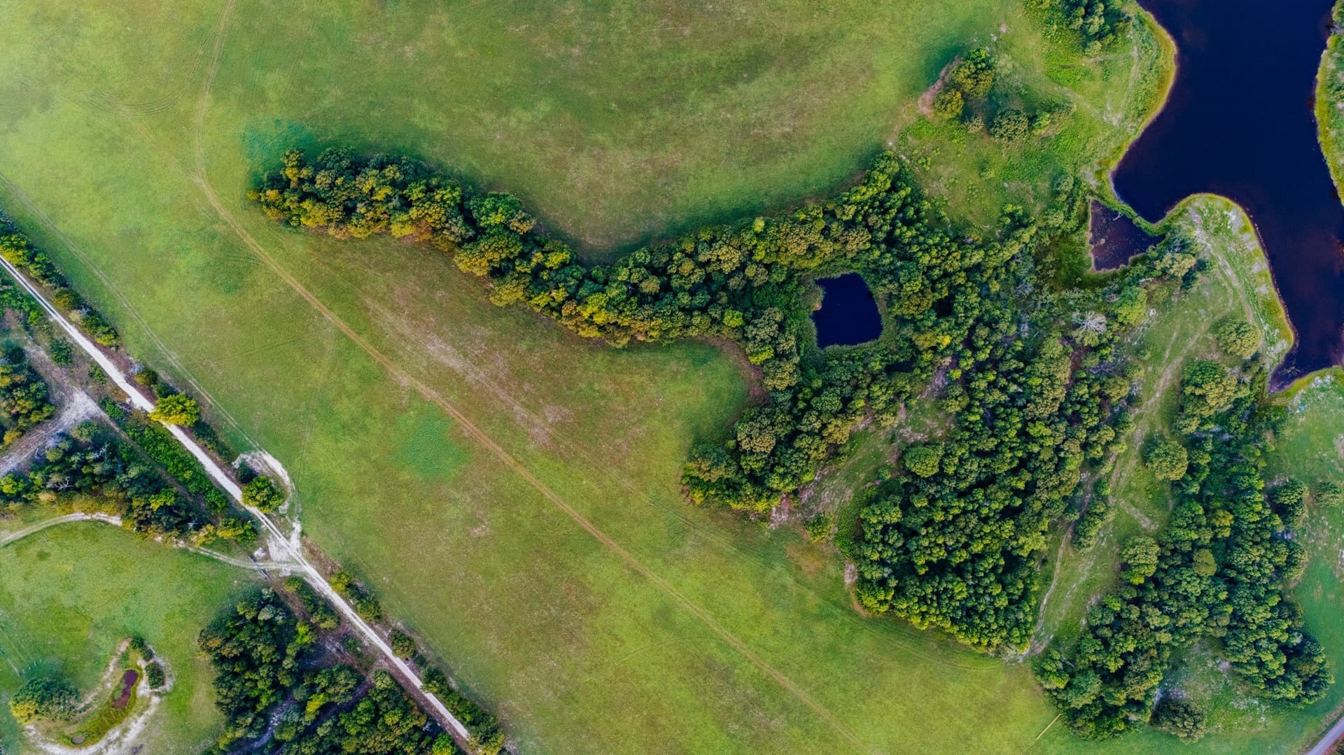 33.49 acres in Wood County - photo 23