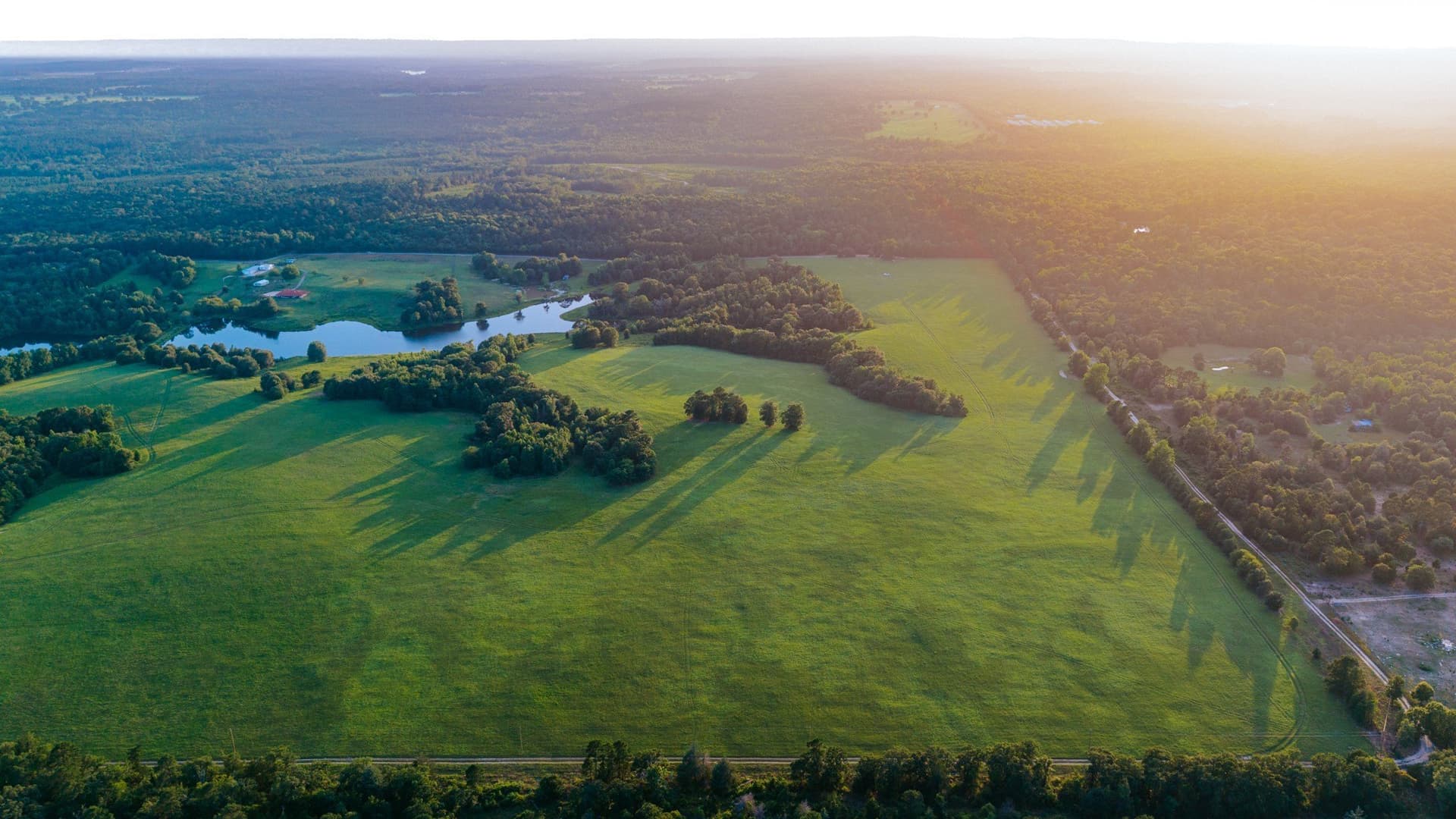 33.49 acres in Wood County - photo 18