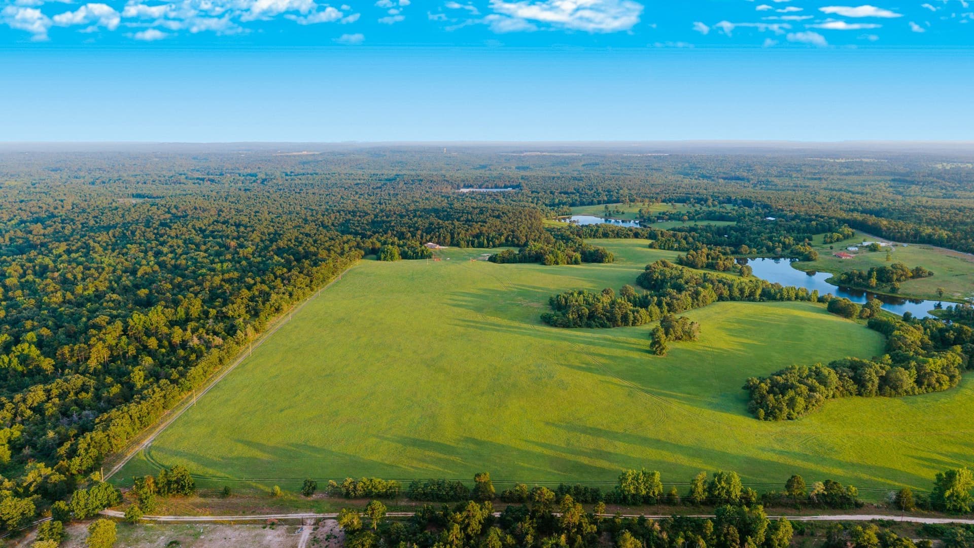 33.49 acres in Wood County - photo 19