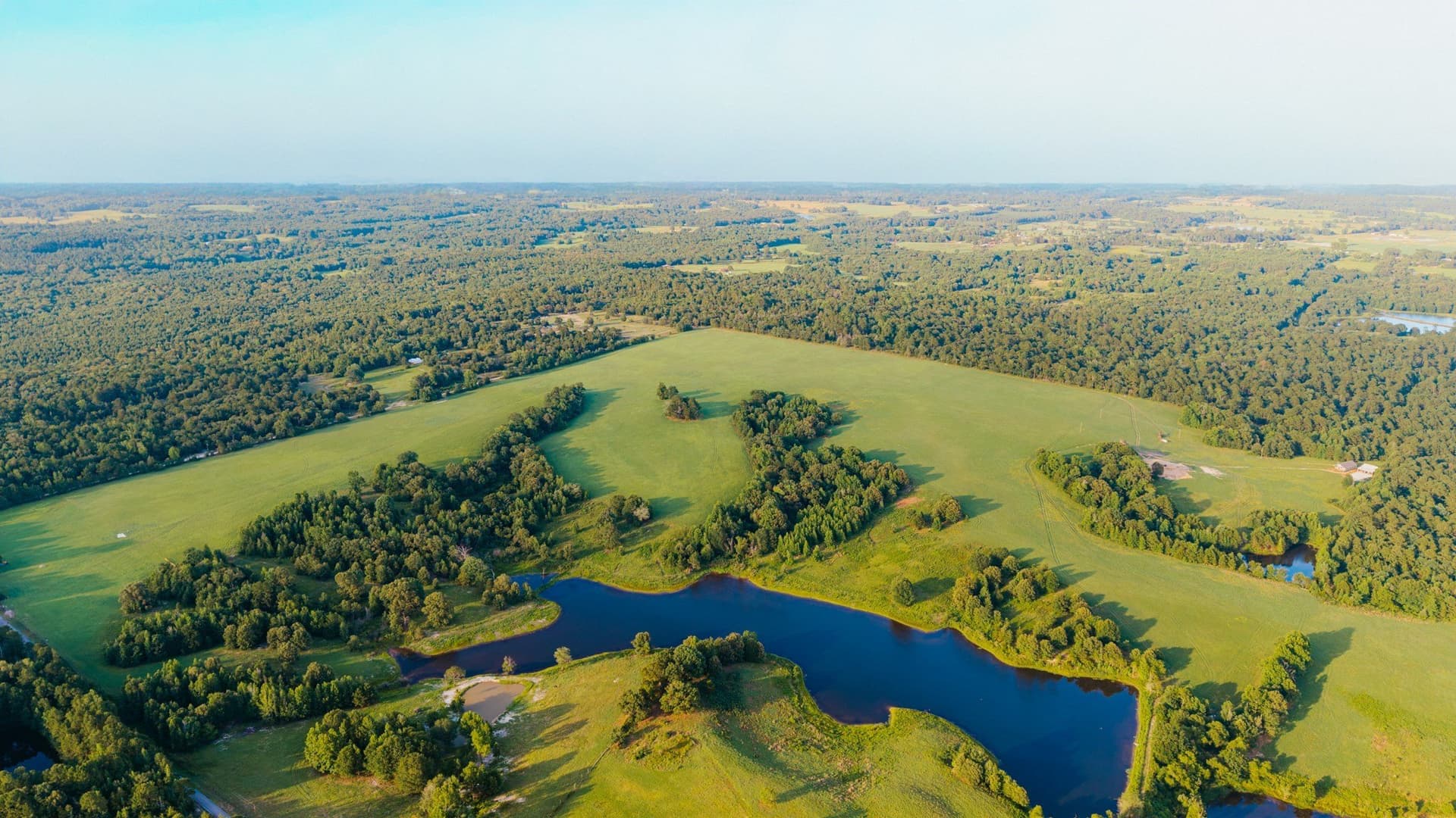 33.49 acres in Wood County - photo 5