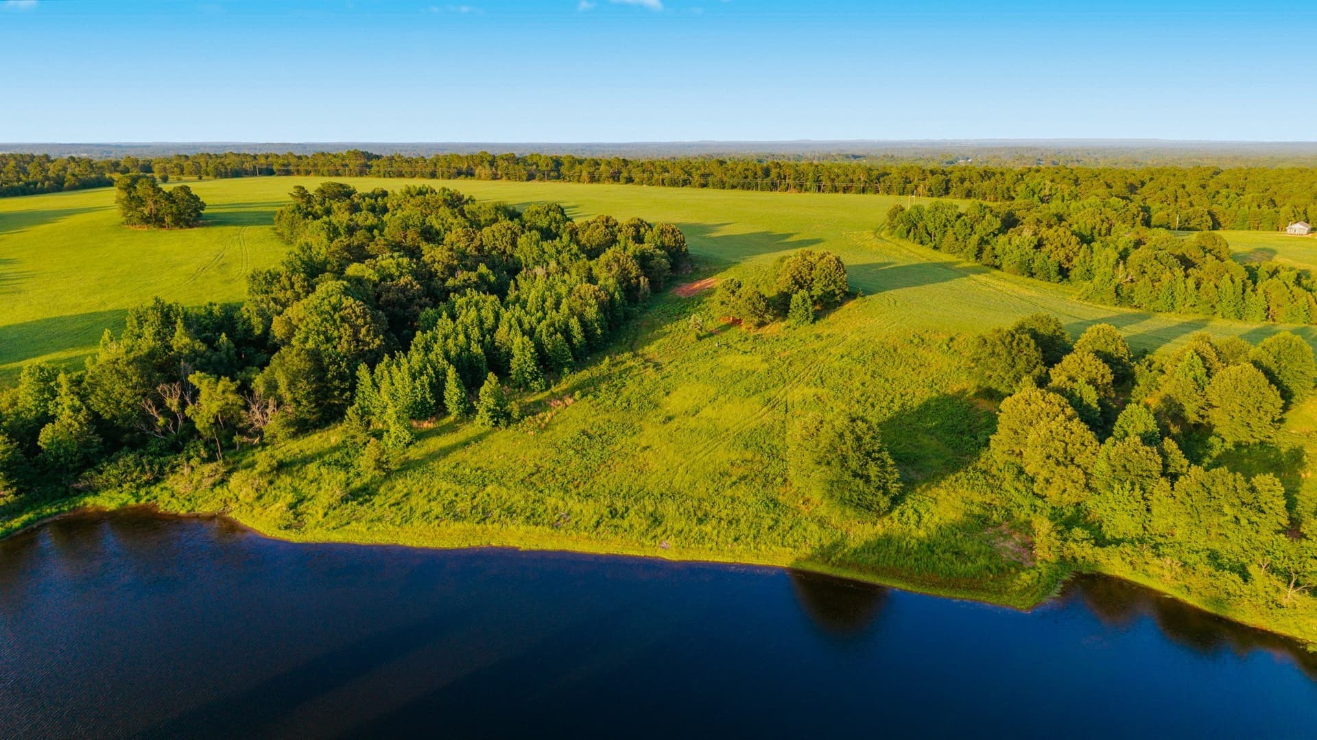 33.49 acres in Wood County - photo 16