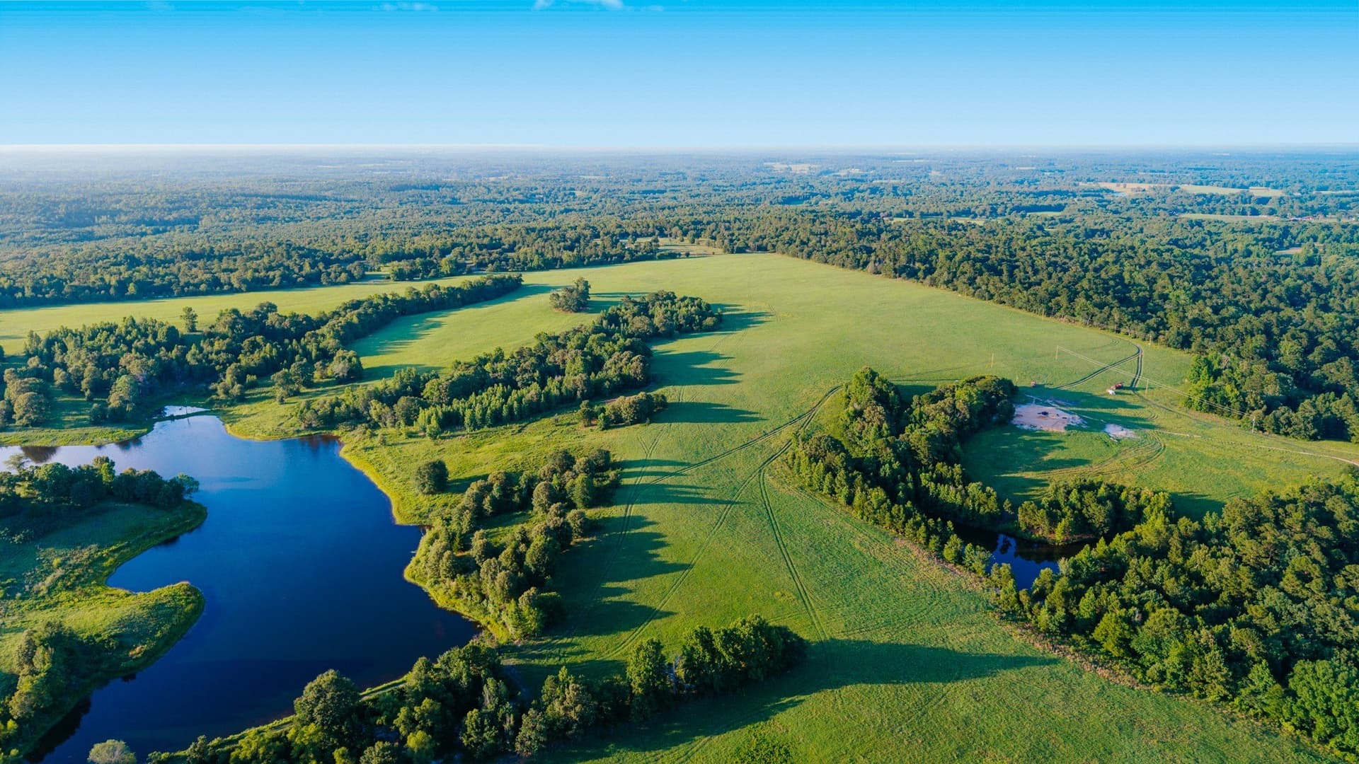 33.49 acres in Wood County - photo 9