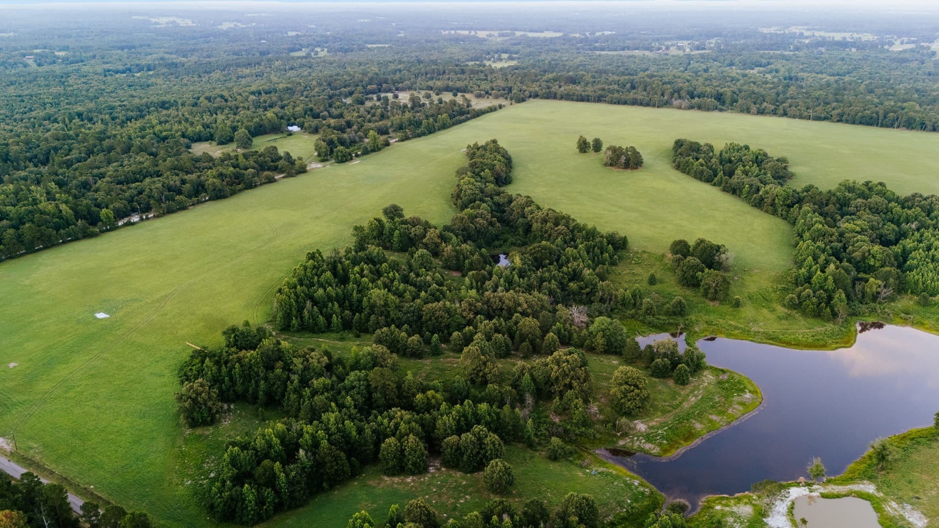 33.49 acres in Wood County - photo 31