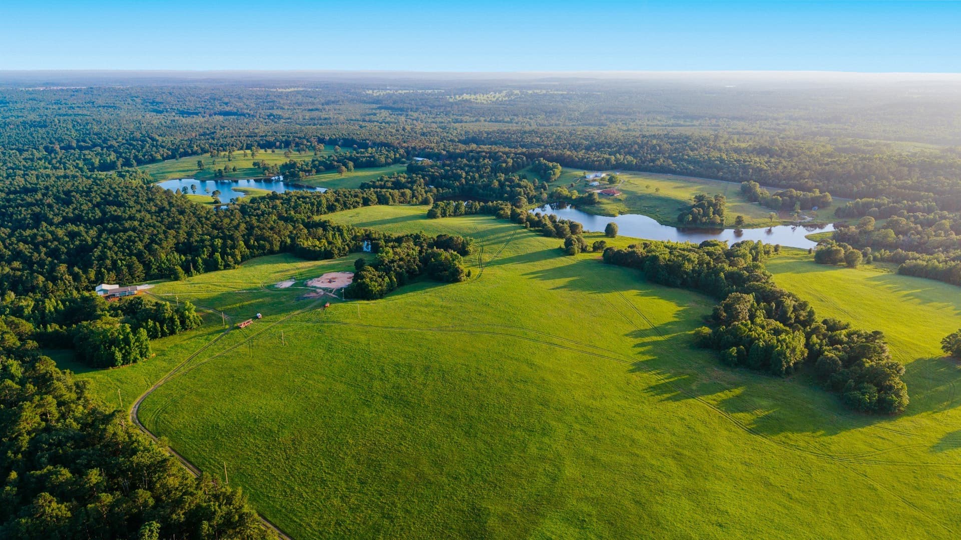 33.49 acres in Wood County - photo 13