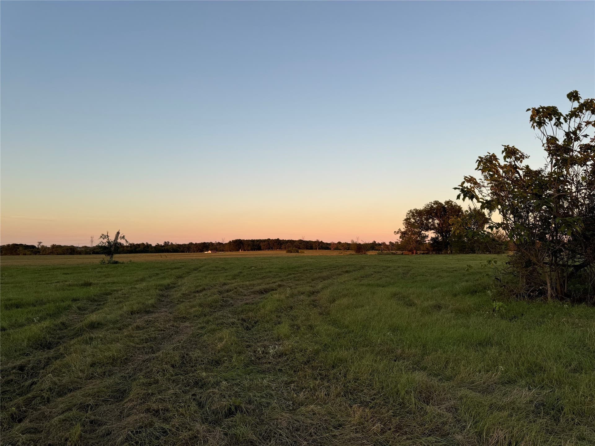 30.09 acres in Van Zandt County - photo 15