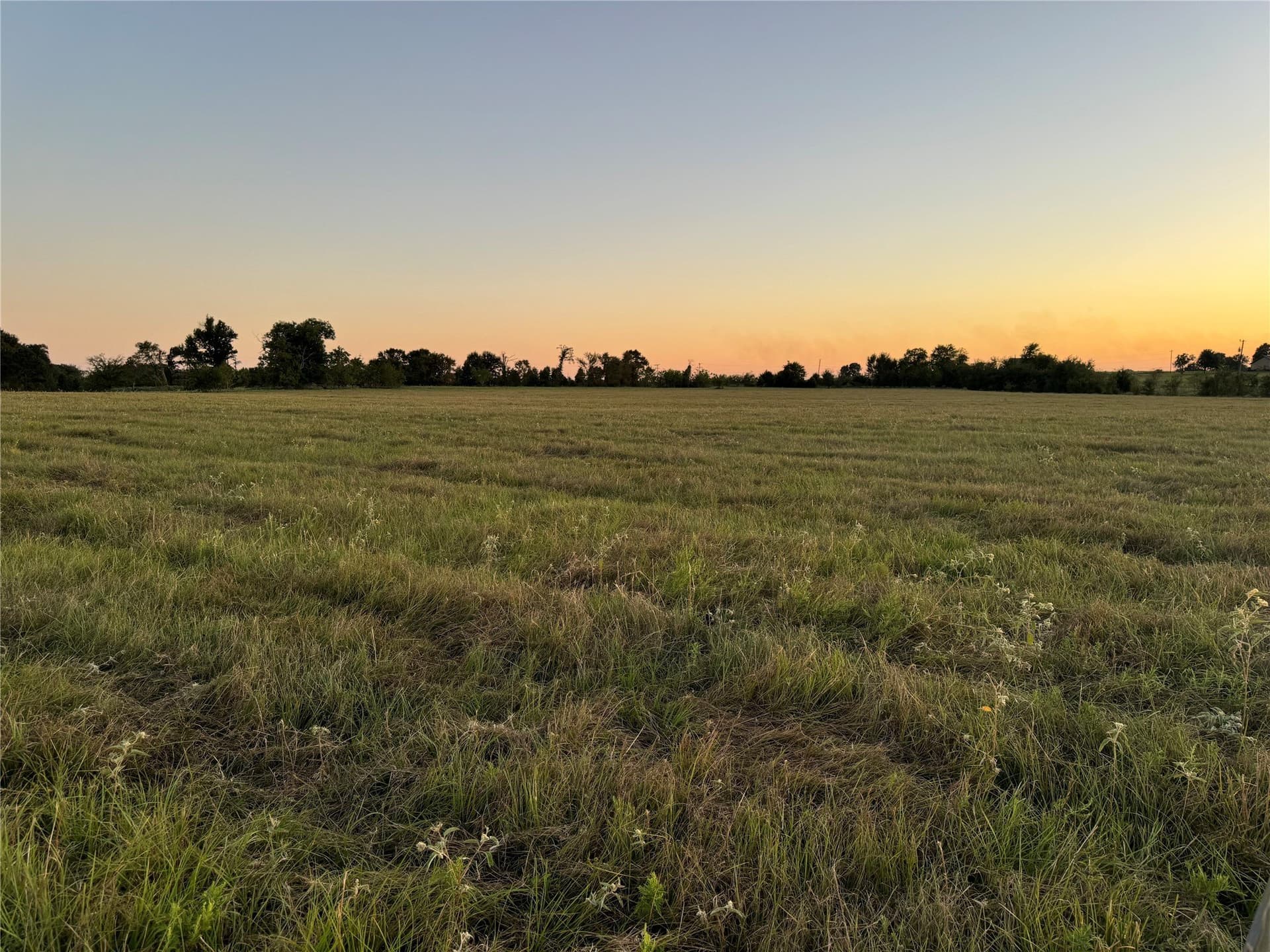 30.09 acres in Van Zandt County - photo 7