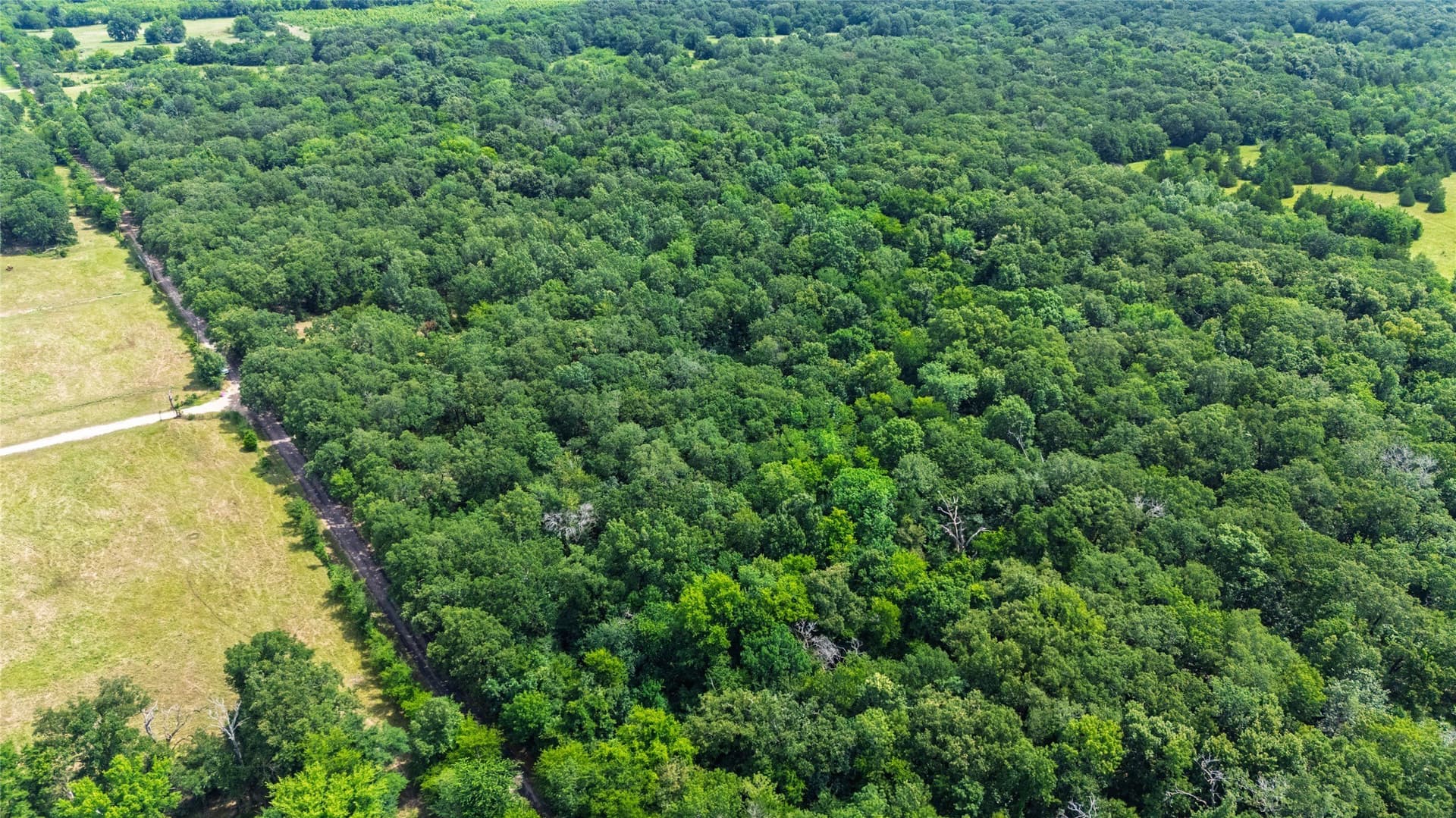 7.56 acres in Hopkins County featured view